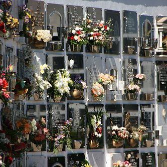 Visita al cementerio