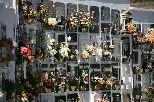 Visita al cementerio Visita al cementerio