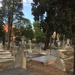 Visita al cementerio